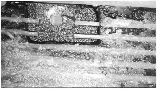 Ozone electrolysis generator and method for cleaning ozone generator