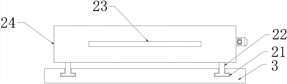 Edible amaranth cultivating device for treating arsenic in soil