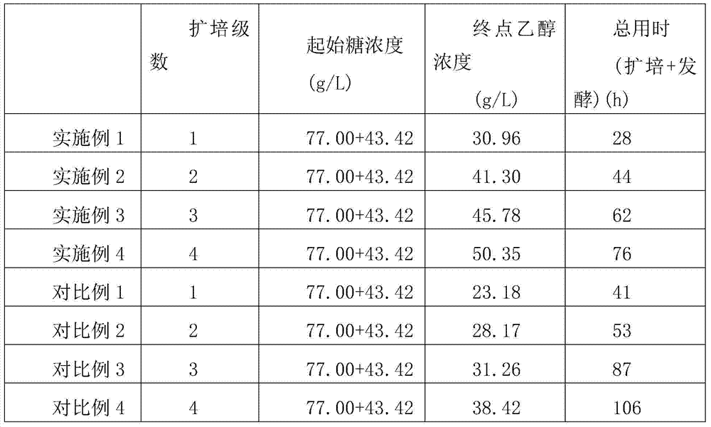 Amplification culture method for producing ethanol microorganisms by virtue of co-fermentation of C5 and C6