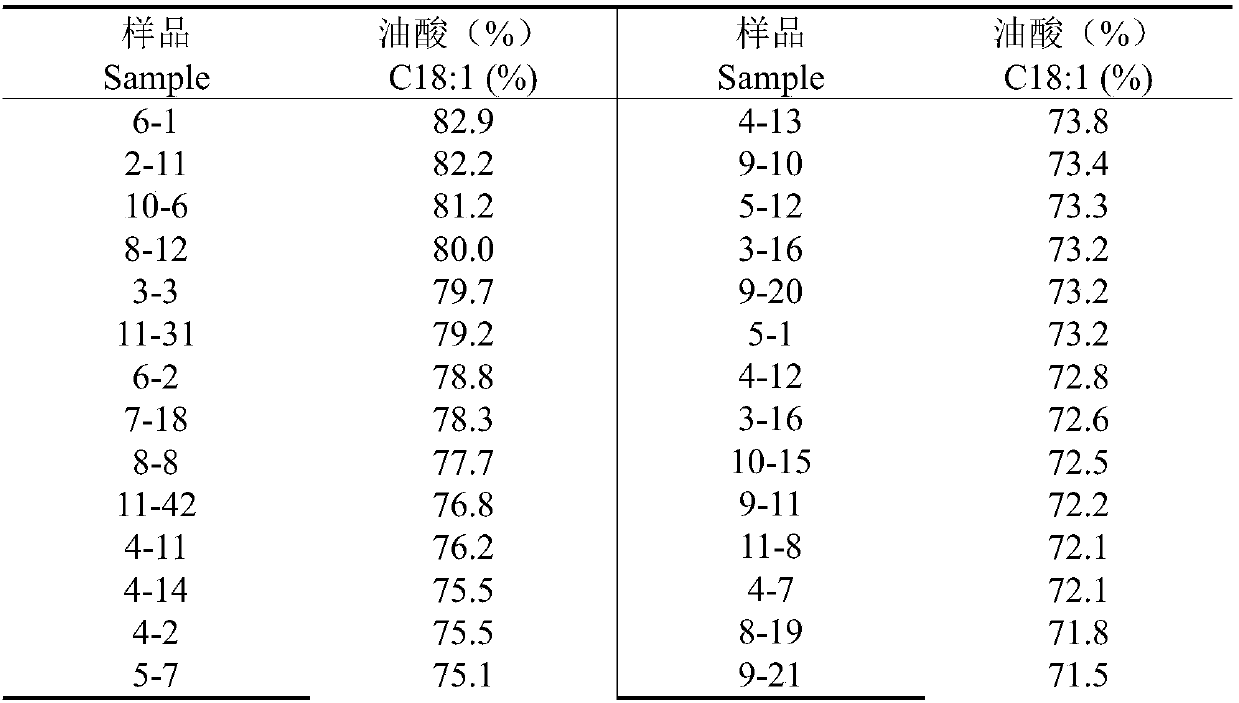 Rapid and efficient breeding method for peanut variety with high oleic acid content