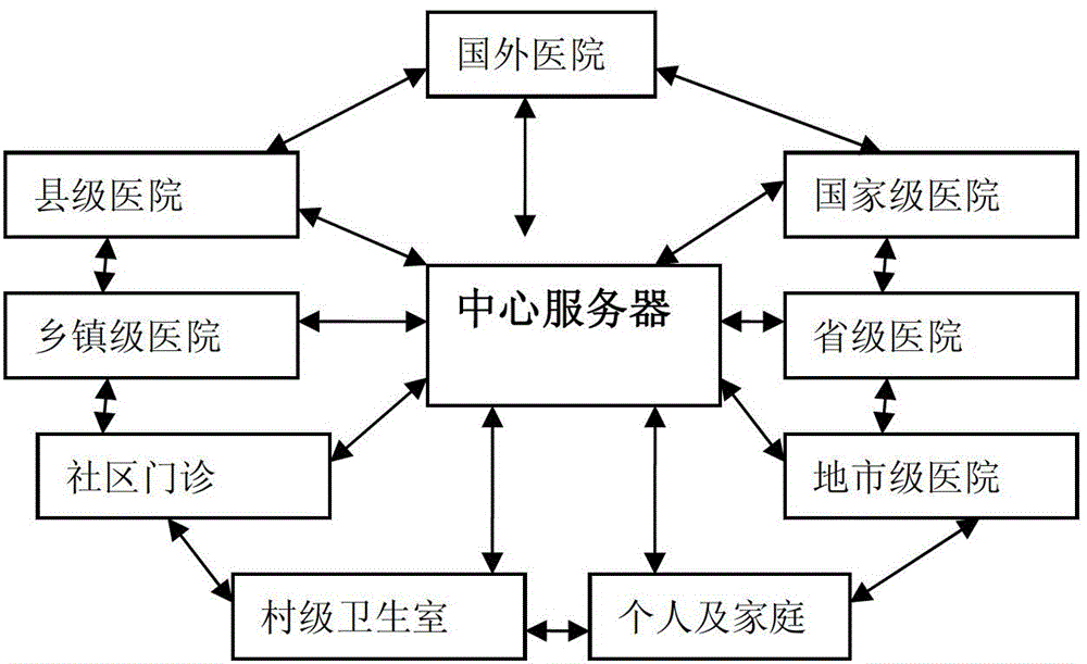 Network medical service system