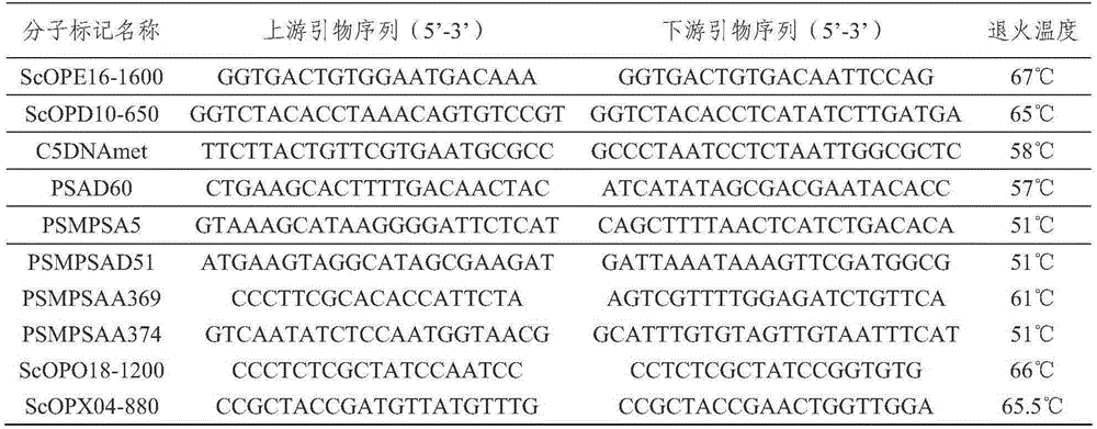 Pea anti-powdery mildew er1 allele er1-7 and gene er1-7 linked-molecular marker