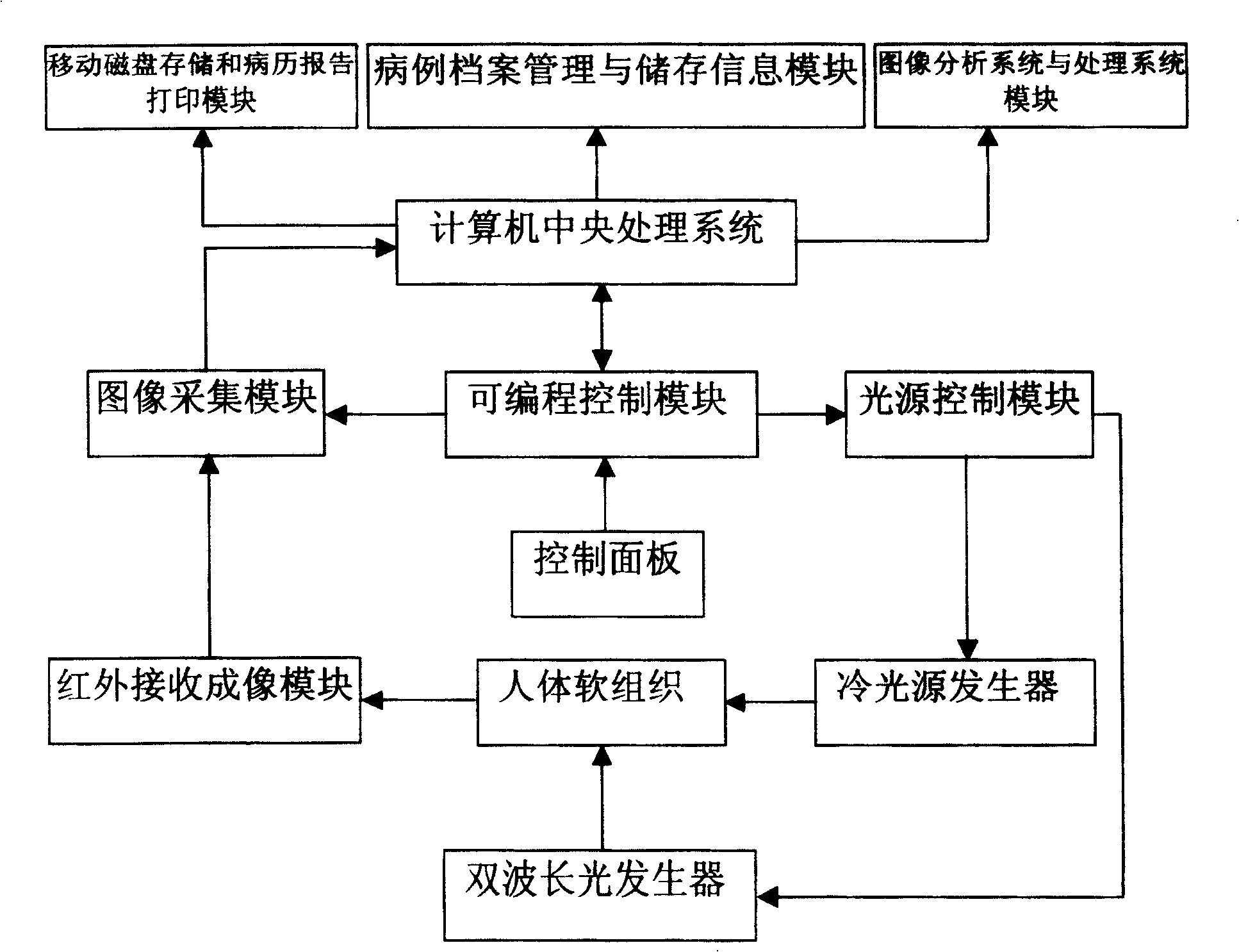 Mammary gland blood oxygen function imaging method and system