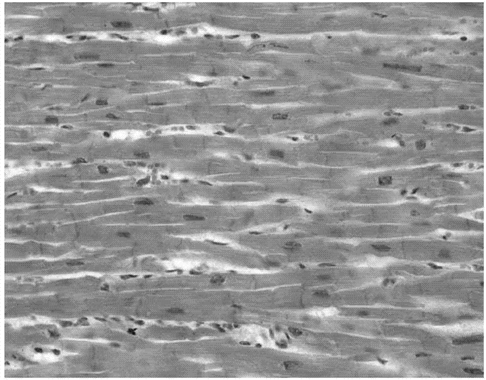 Oriented polymer nanometer fibrocyte culture plate and preparation method thereof