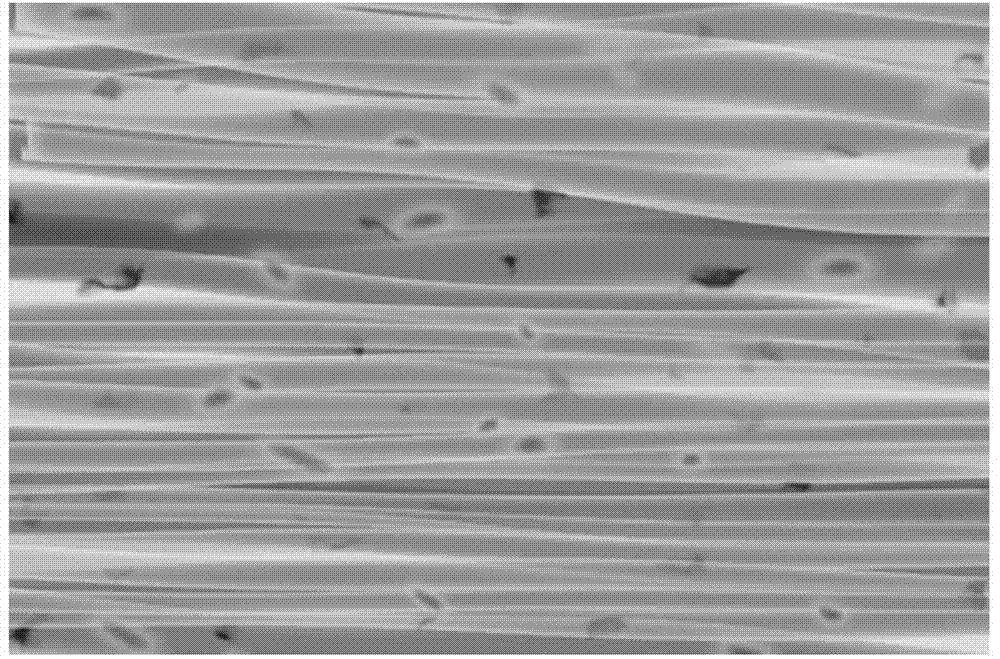 Oriented polymer nanometer fibrocyte culture plate and preparation method thereof