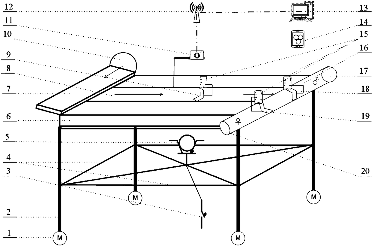 An automatic sorting device for male and female seedlings of semi-smooth tongue sole and its application method