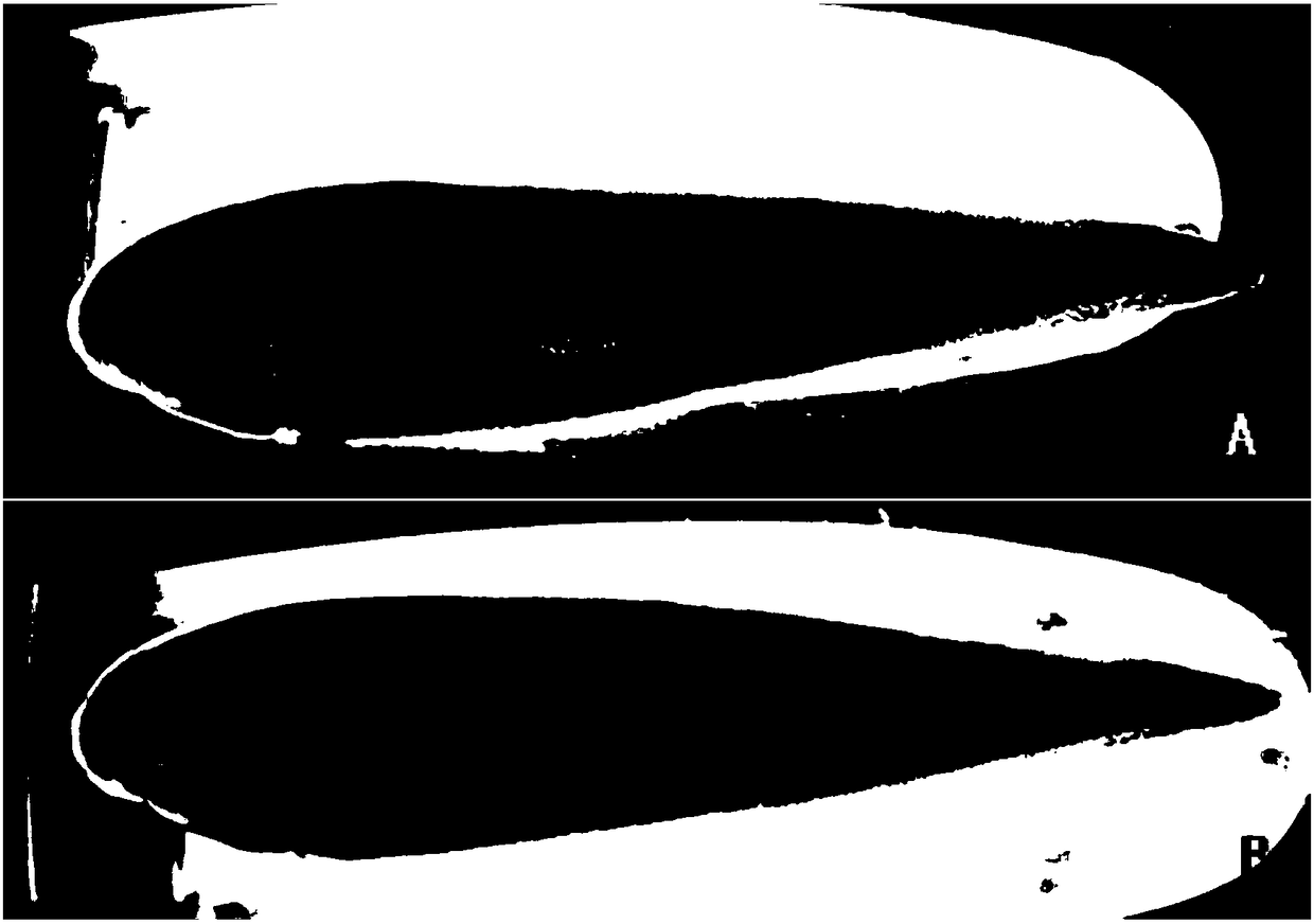 An automatic sorting device for male and female seedlings of semi-smooth tongue sole and its application method