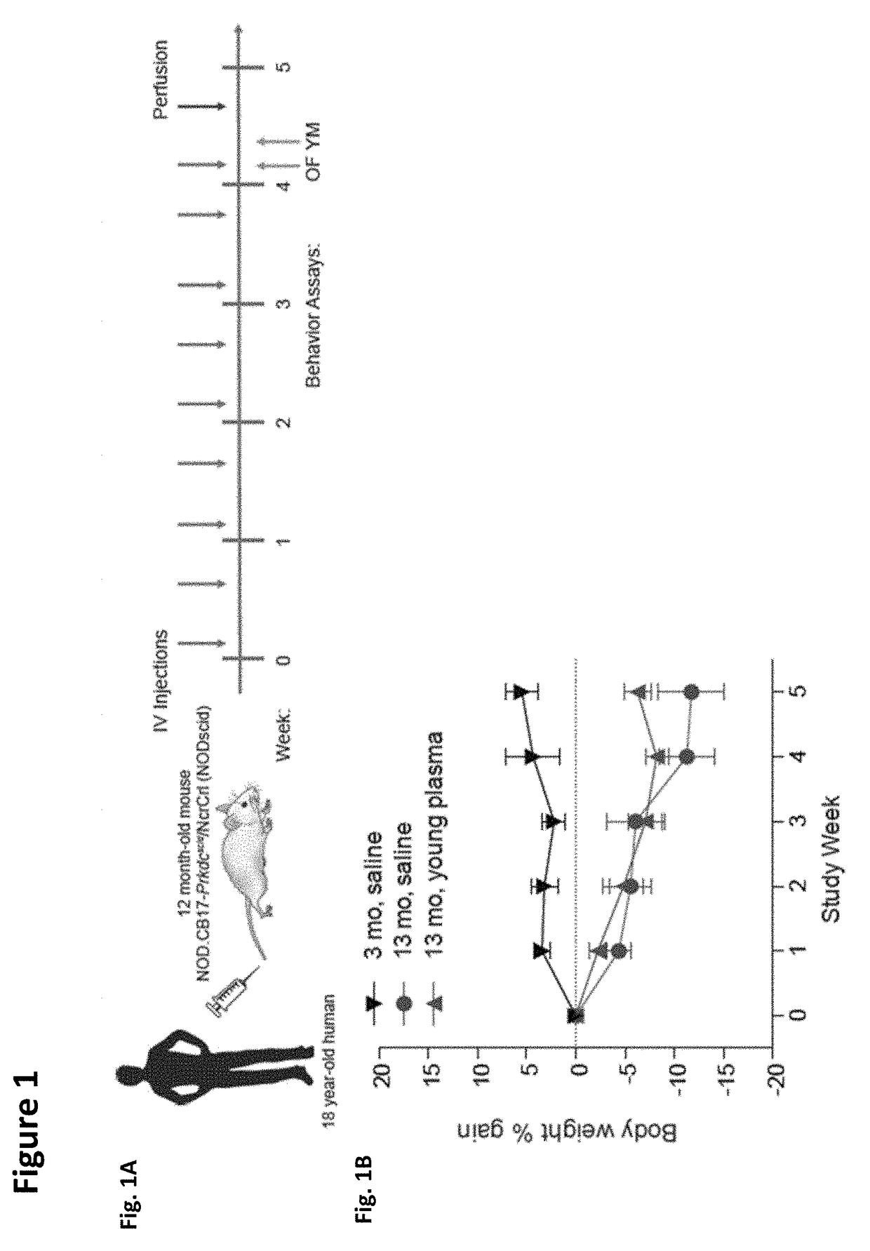 Methods for screening human blood products comprising plasma using immunocompromised rodent models