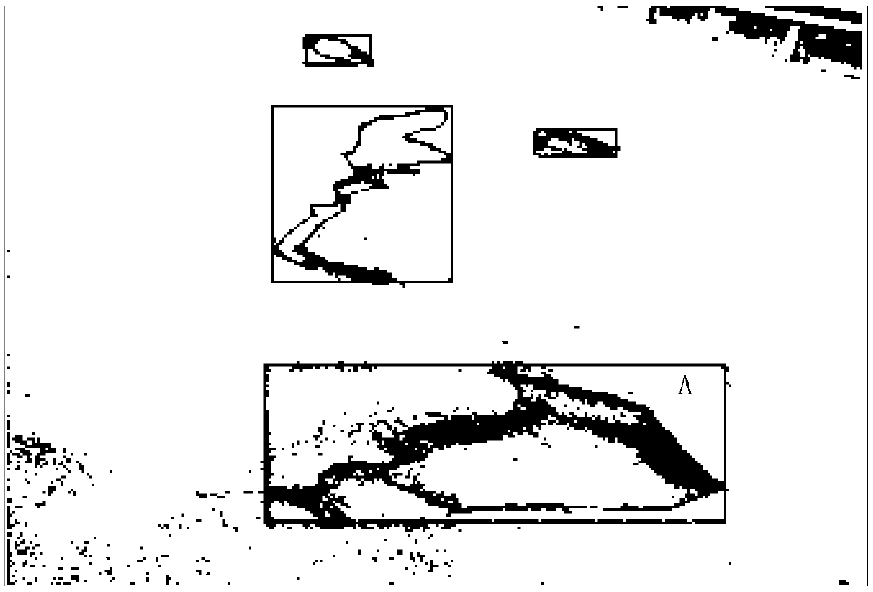 A neural network-based road disease identification method and device