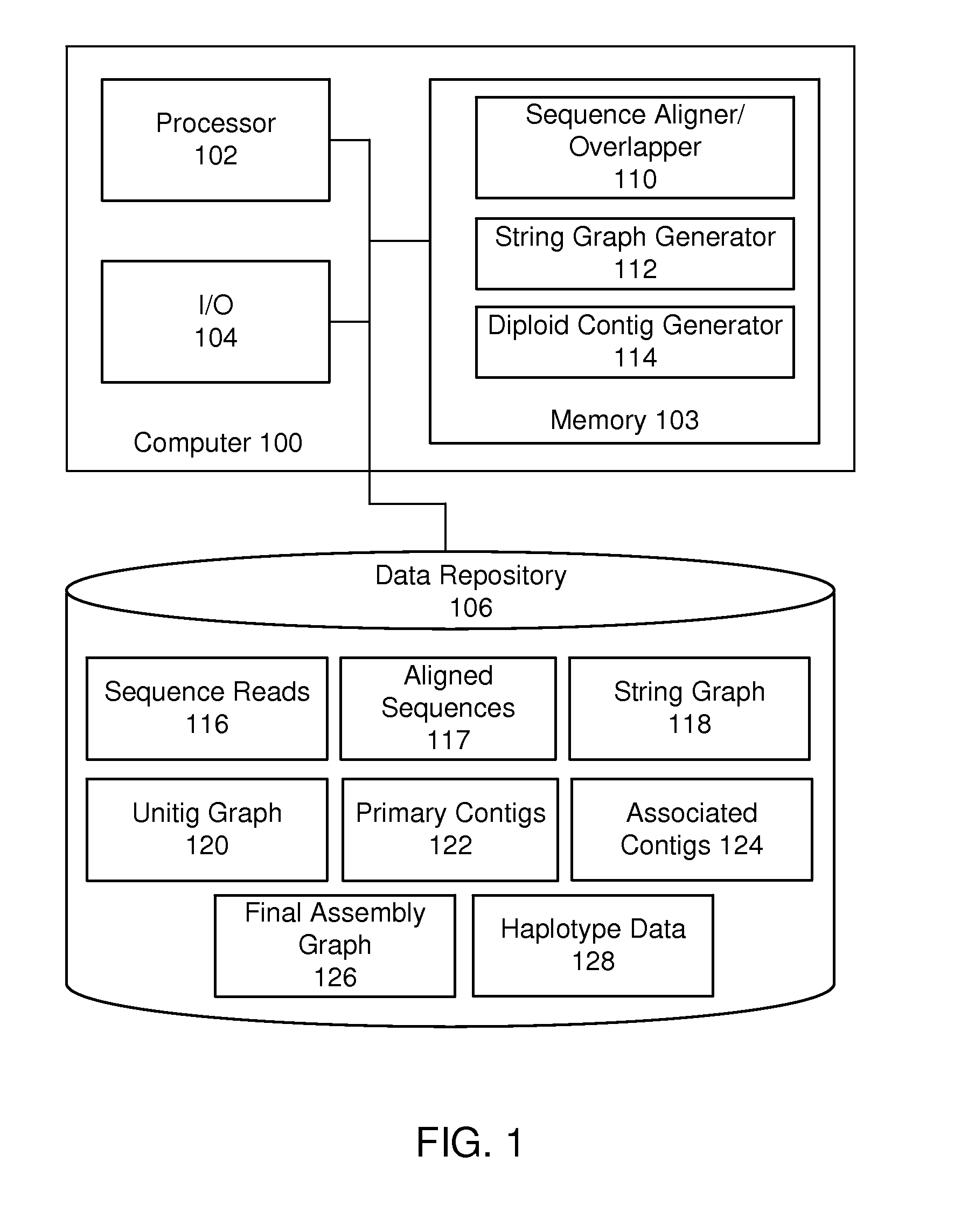 String graph assembly for polyploid genomes