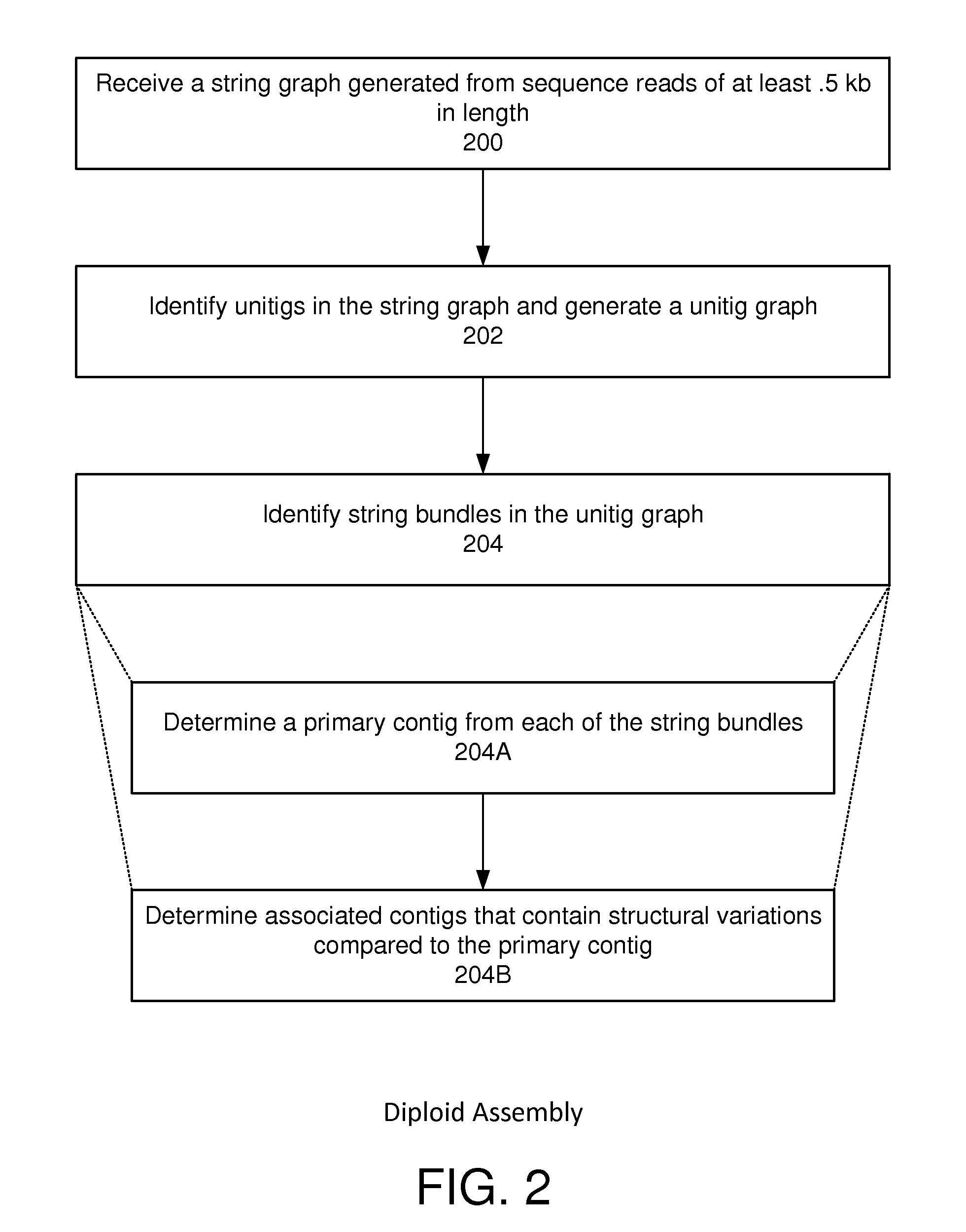 String graph assembly for polyploid genomes