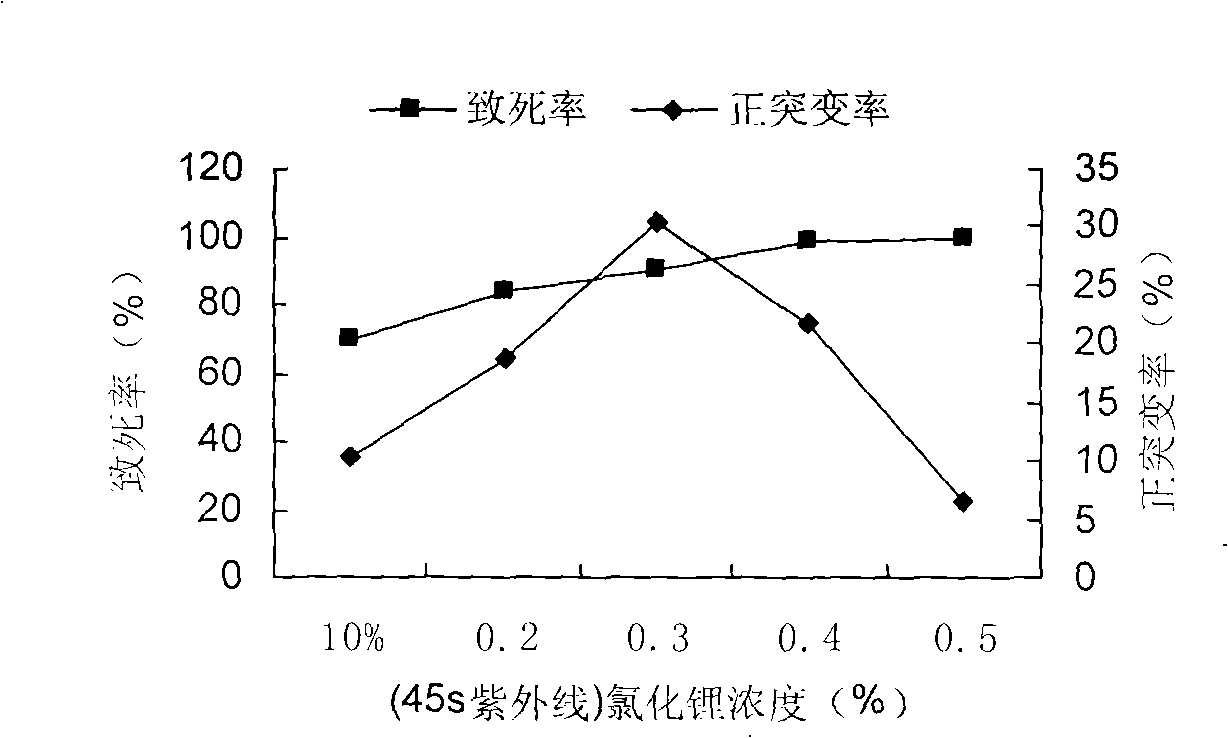 Method for method for breeding high yield bacterial strain of zuelaemycin producing actinomycetes strain by complex mutation