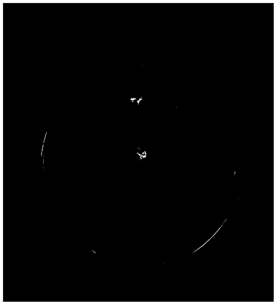 Strain of Hubei ophiopogon endophytic aspergillus and application of strain