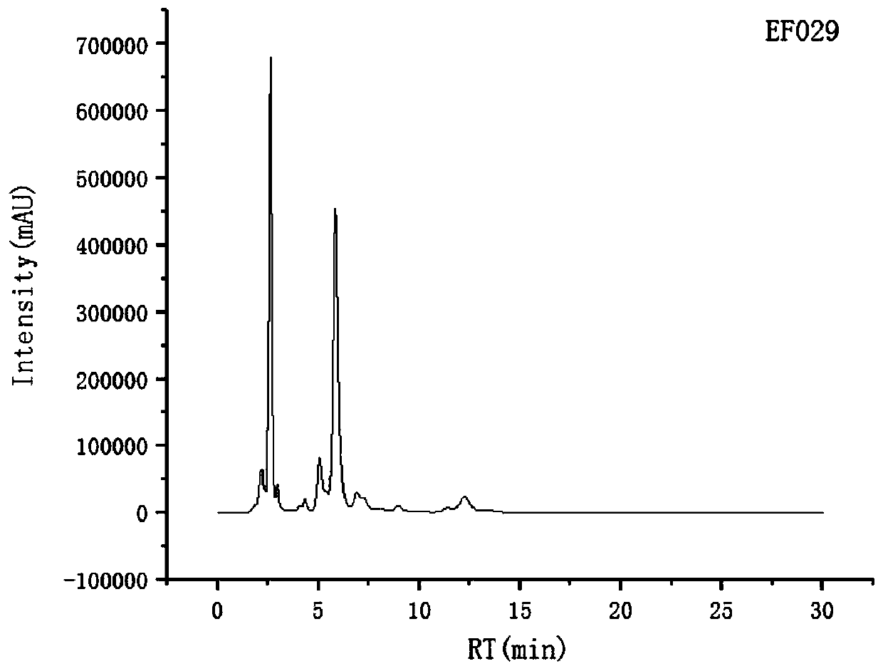 Strain of Hubei ophiopogon endophytic aspergillus and application of strain