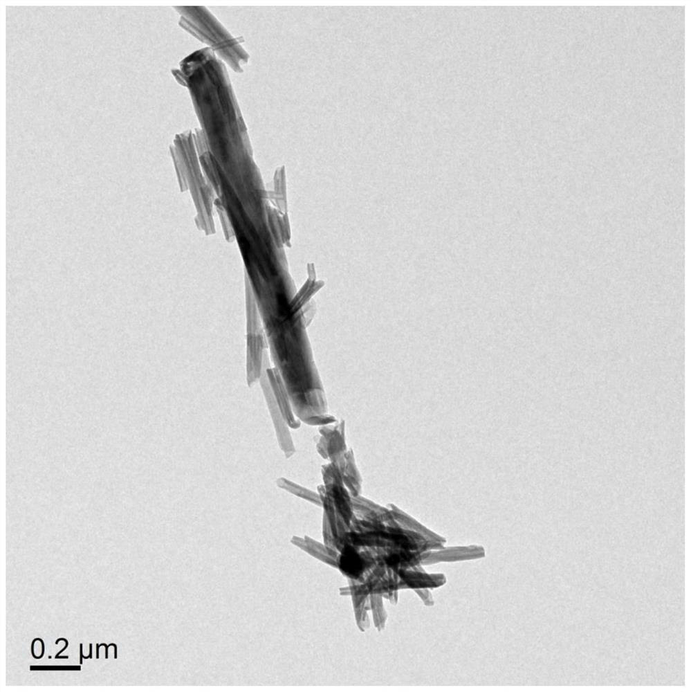 Fresh-keeping material capable of efficiently removing ethylene and preparation method of fresh-keeping material