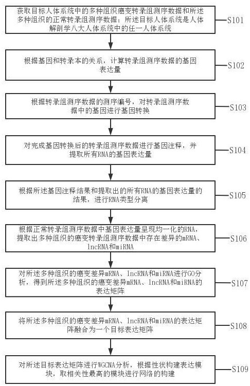 Tumor gene co-expression network construction method, device, equipment and storage medium