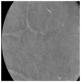 Preparation and application of nano copper hydroxide controlled release system