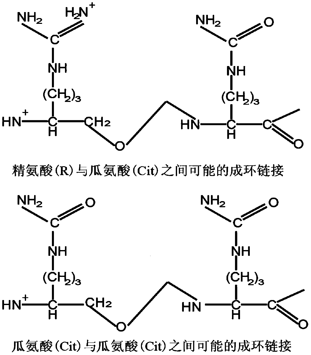 Rheumatoid arthritis autoantibody conjugated antigen and applications thereof