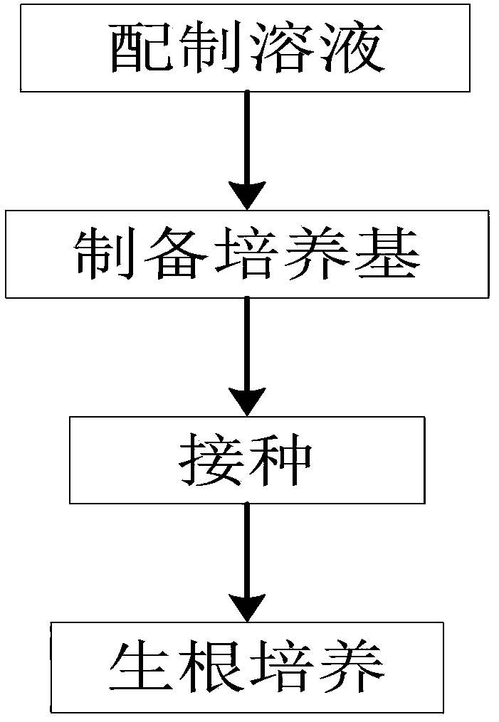 Rapid seedling culture method for blueberries and special culture vessel