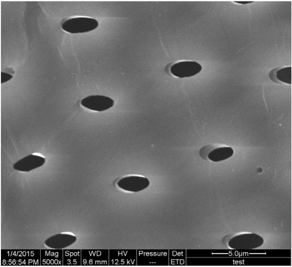 Pollution-free treatment method for improving weathering resistance and amphiphobic performance of wood