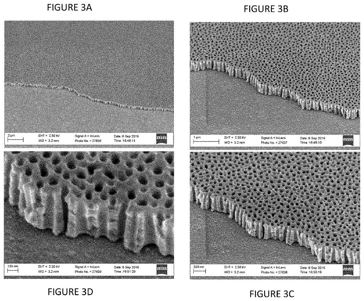 Catalytic plasmonic nanomaterial