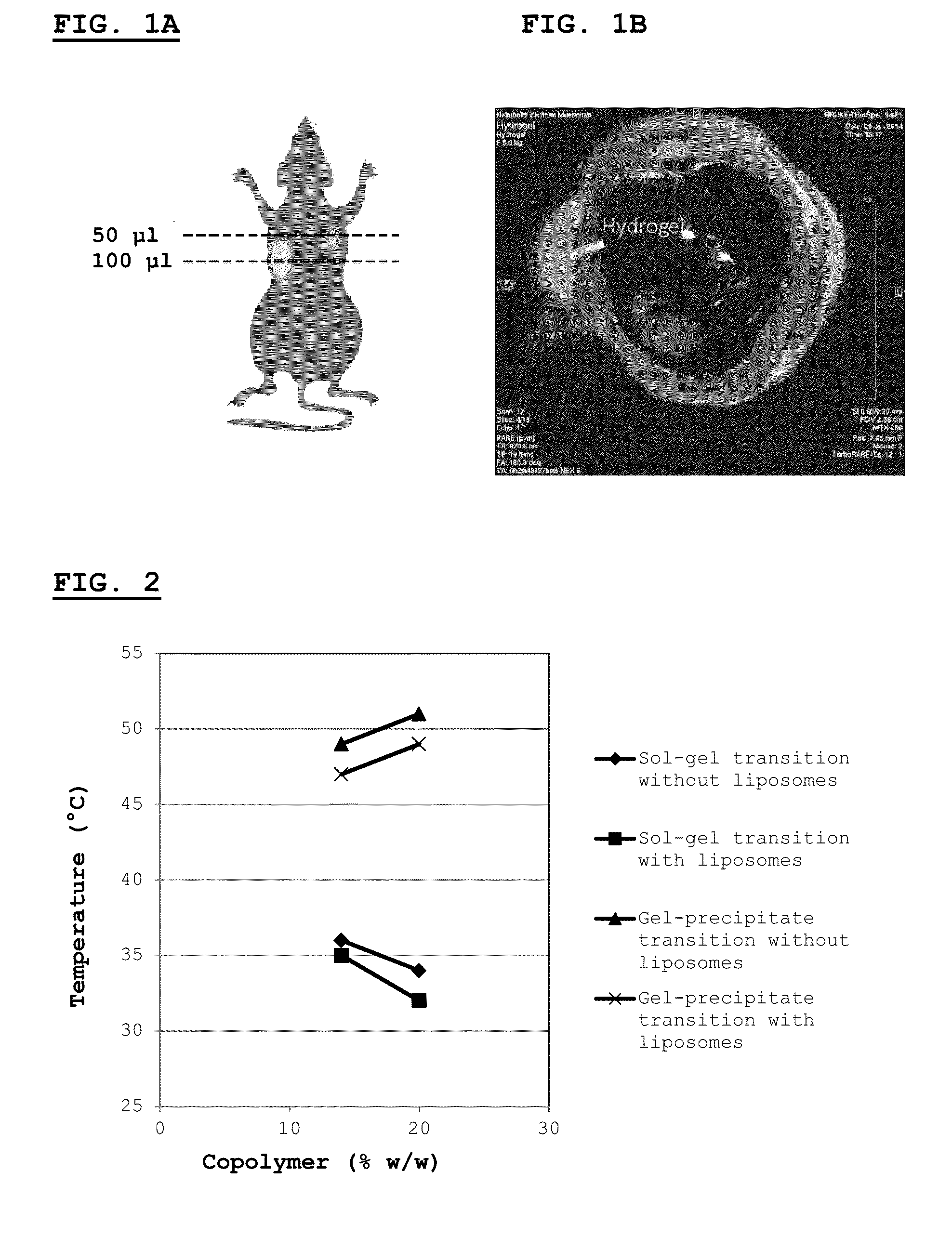 Induction of Antigen-Specific Tolerance by Peripheral Phagocytosis