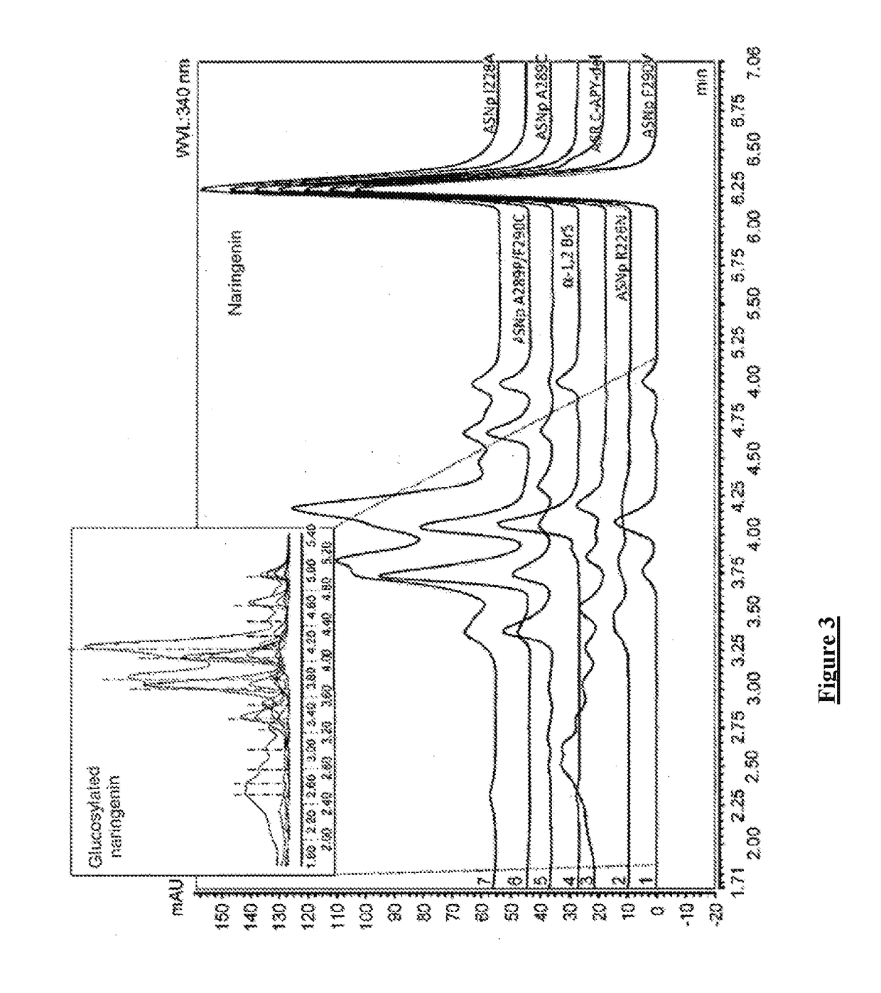 Novel flavonoids o-a-glucosylated on the b cycle, method for the production thereof and uses