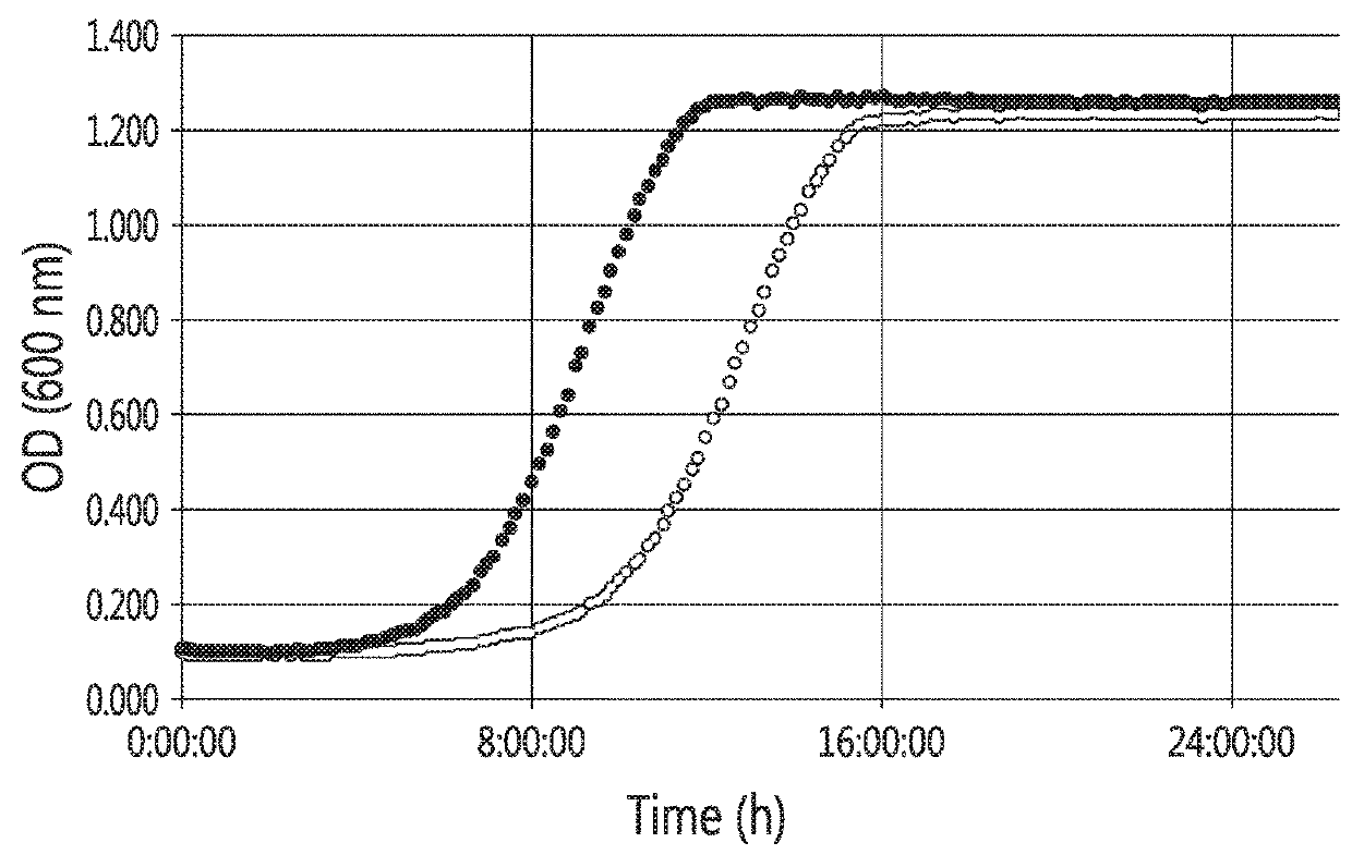 Yeast strains for the expression and secretion of heterologous proteins at high temperatures