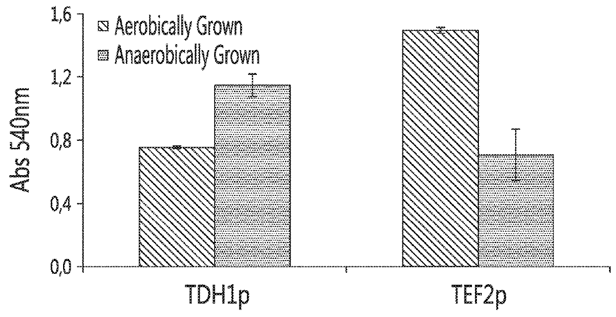 Yeast strains for the expression and secretion of heterologous proteins at high temperatures