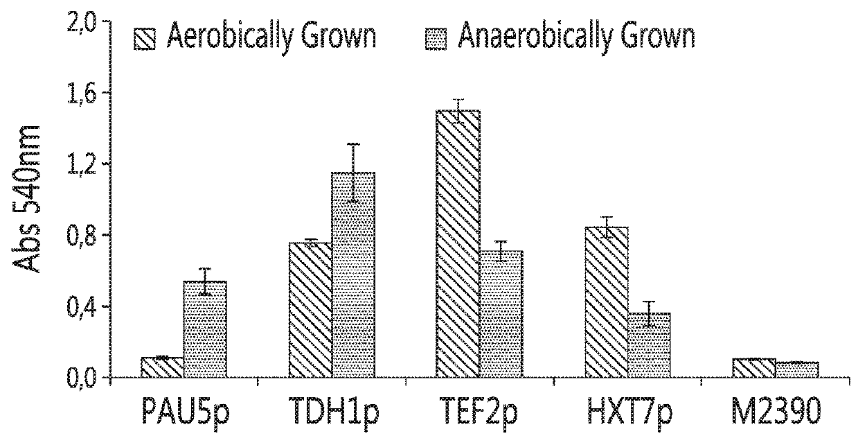 Yeast strains for the expression and secretion of heterologous proteins at high temperatures