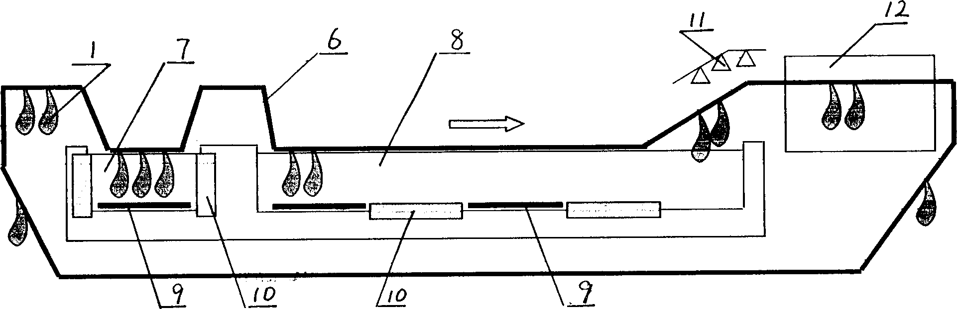 Curing and cleaning technology in the process of processing dry-cure ham