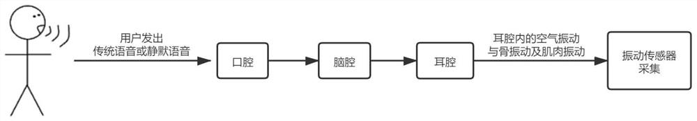 A silent voice acquisition and processing method and device based on ear cavity vibration