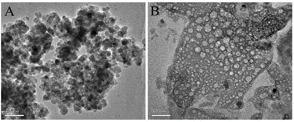 Preparation and application of dopamine functional magnetic nano-carrier