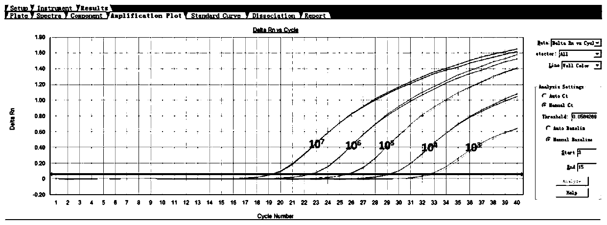 Oligonucleotide and method for detecting ABCG2 gene relative expression quantity in sample