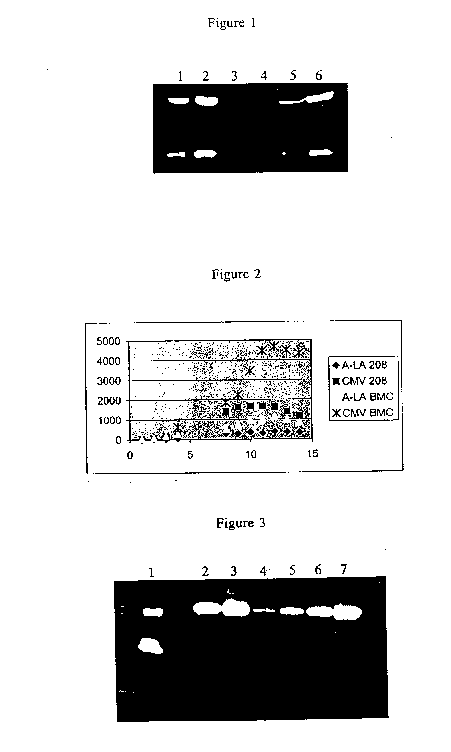 Host cells containing multiple integrating vectors