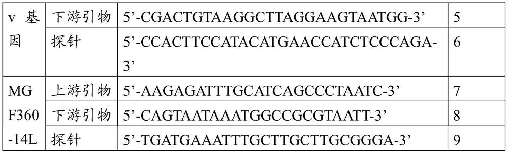 Real-time fluorescent PCR amplification primer pair and probe primer for identifying and detecting African swine fever virus, and kit prepared from real-time fluorescent PCR amplification primer pair and probe primer