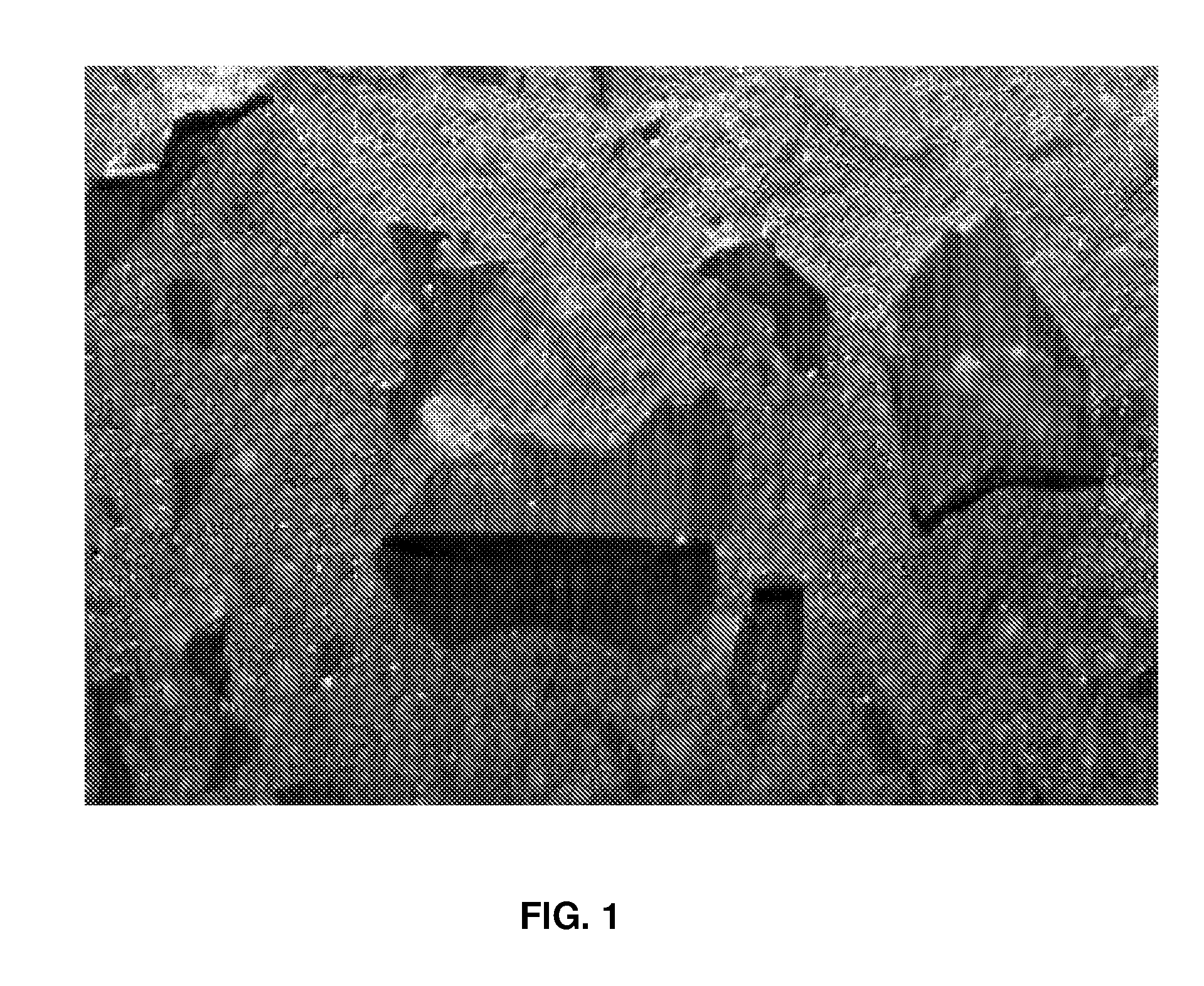 Resin composition for manufacturing marble chips, method for manufacturing marble chips, and artificial marble made from marble chips
