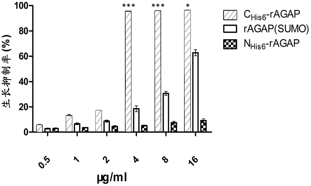 Purifying and renaturation method for scorpion toxin protein inclusion body and application