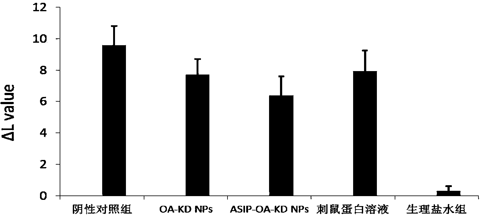 Transdermal delivery nano-preparation, and preparation method and application thereof