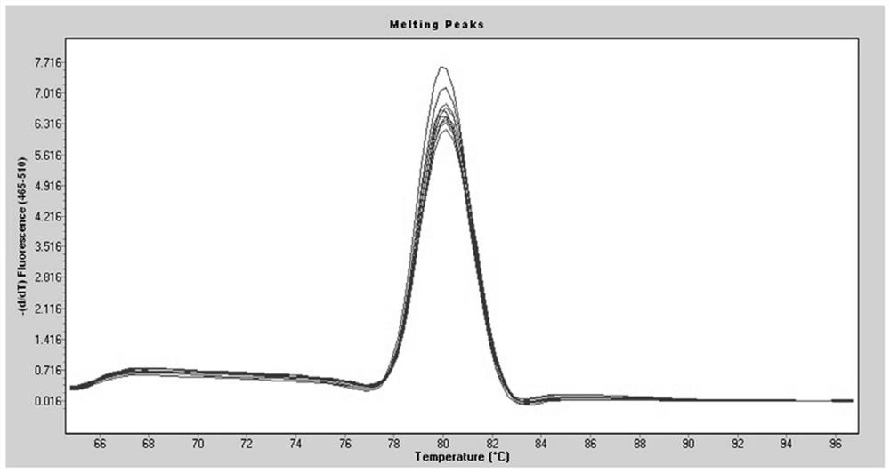 Internal reference gene hsa_circ_0000471 of human tissue/cell circular RNA and its application