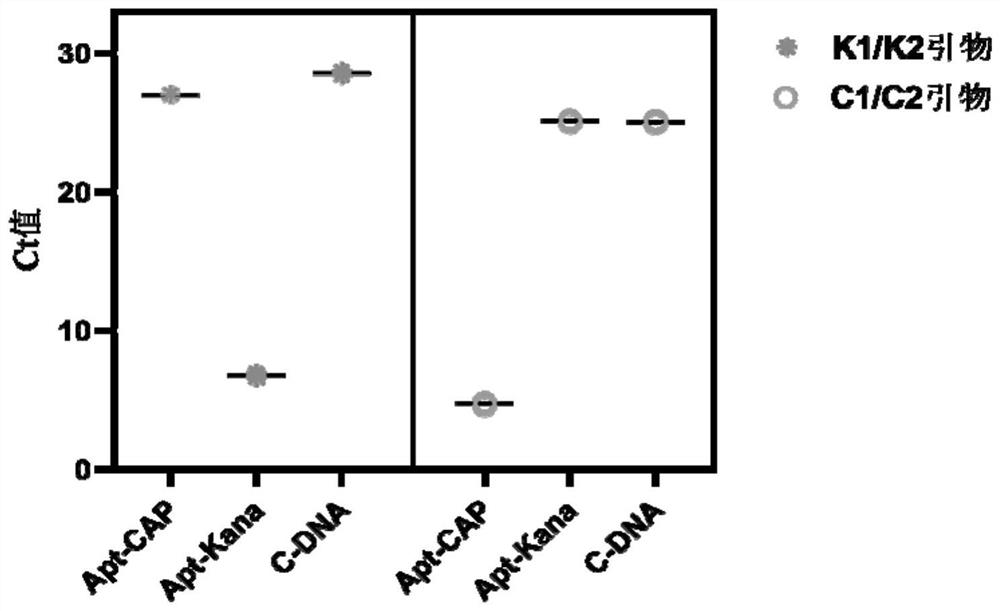 Method of establishing double-detection sensor for antibiotics based on aptamers