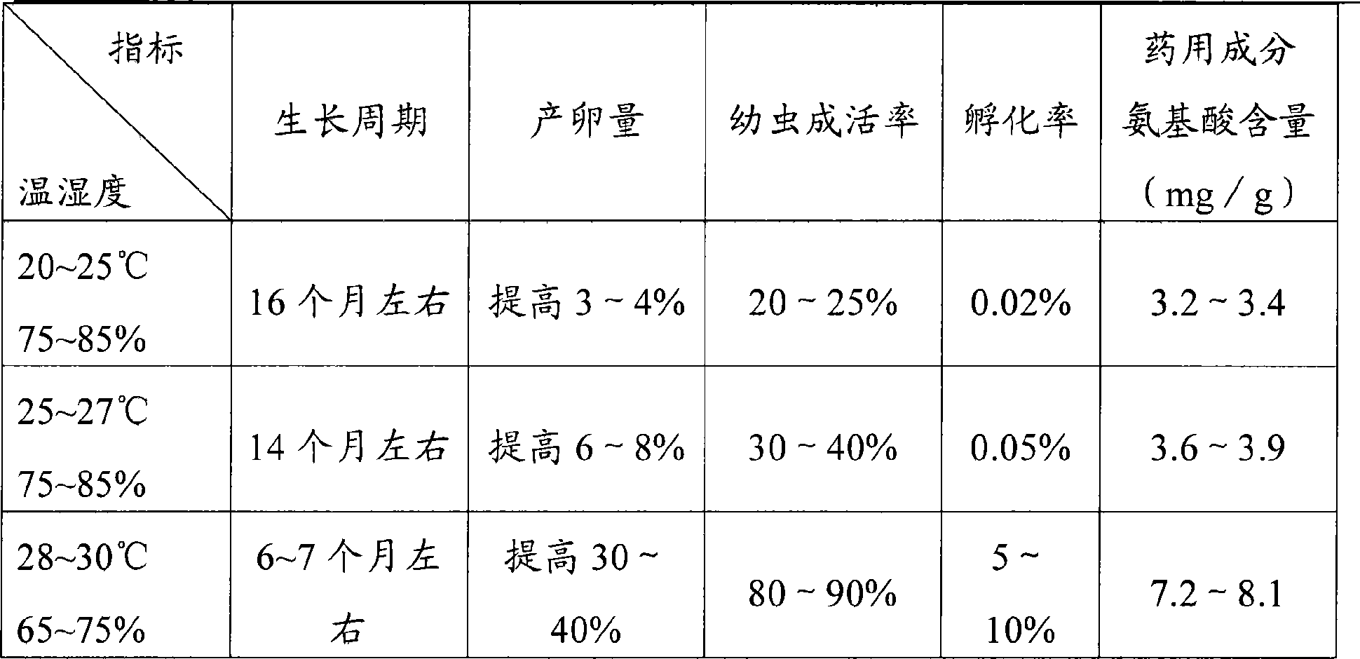 Artificial cultivation method for American cockroaches