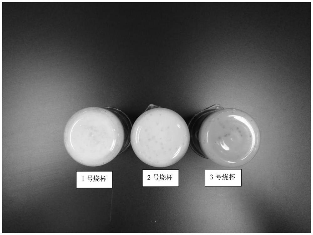 Brightening and anti-glycation composition containing carnosine and ergothioneine and application of brightening and anti-glycation composition