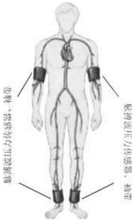 Method for calculating heart and vessel functional parameters based on blood pressure and pulses of four limbs