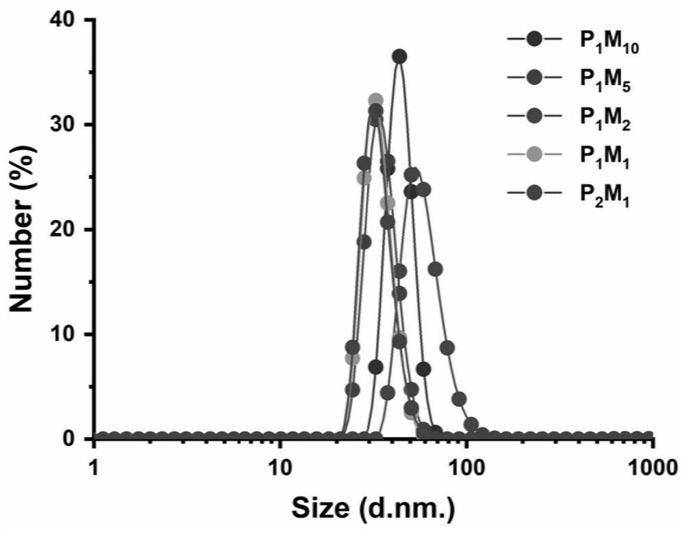 Protein drug solid preparation and preparation method thereof