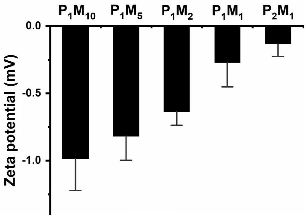 Protein drug solid preparation and preparation method thereof