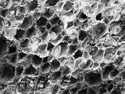 Preparation method for macroporous hydroxyapatite ceramic