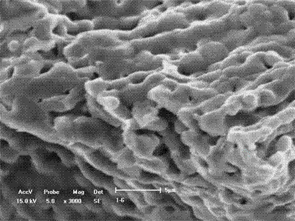 Preparation method for macroporous hydroxyapatite ceramic