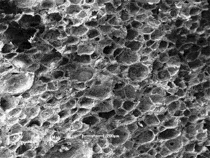 Preparation method for macroporous hydroxyapatite ceramic