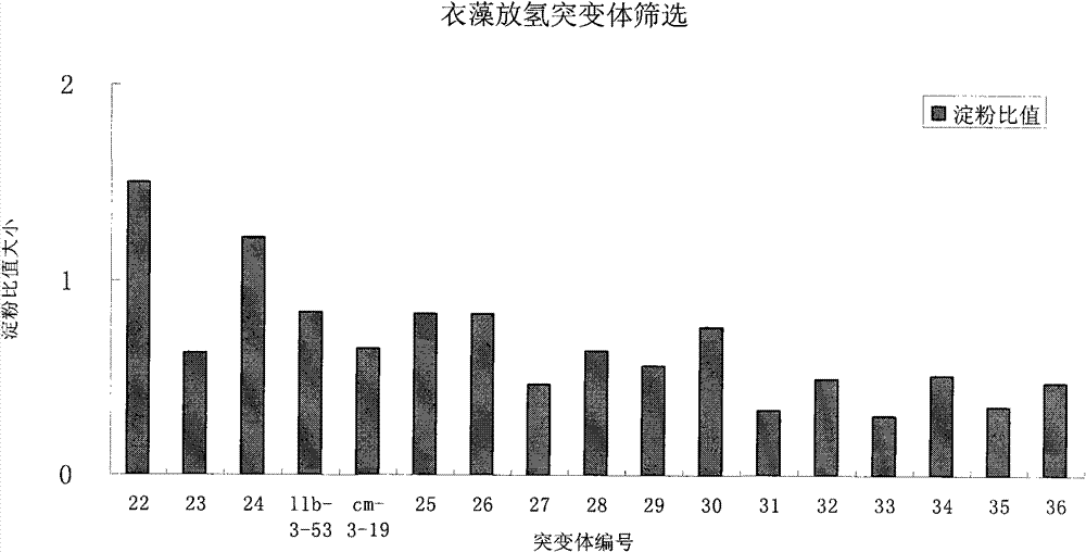 Method for effectively screening out chlamydomonas hydrogen desorption mutant